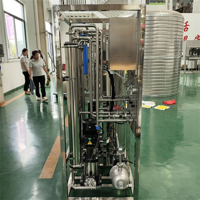 Sistema di depurazione dell'acqua 250LPH RO Macchina per il trattamento dell'acqua a osmosi inversa industriale