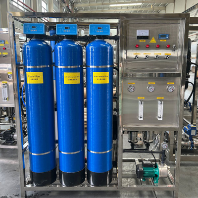 500L/h Capacità Sistema di trattamento dell'acqua con osmosi inversa per la macchina di desalinizzazione dell'acqua